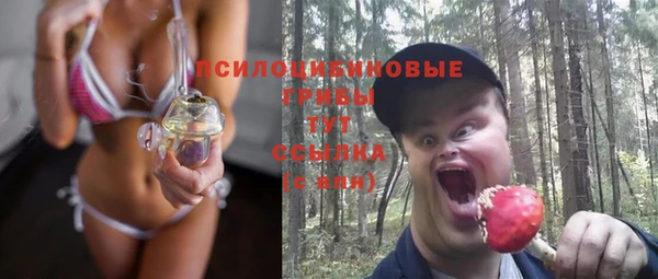 ешки Арсеньев