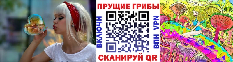ссылка на мегу рабочий сайт  Южно-Сухокумск  Псилоцибиновые грибы Magic Shrooms 